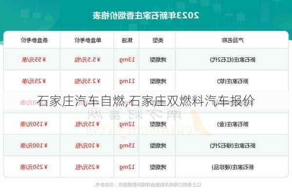 石家莊汽車自燃,石家莊雙燃料汽車報價