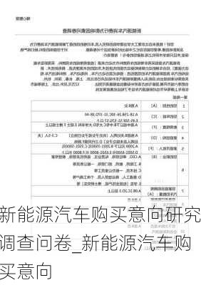 新能源汽車購買意向研究調(diào)查問卷_新能源汽車購買意向