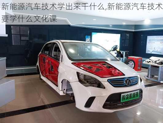 新能源汽車技術(shù)學(xué)出來(lái)干什么,新能源汽車技術(shù)要學(xué)什么文化課