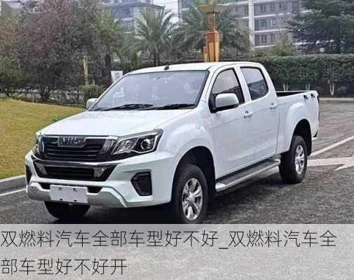 雙燃料汽車全部車型好不好_雙燃料汽車全部車型好不好開