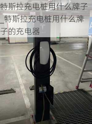 特斯拉充電樁用什么牌子_特斯拉充電樁用什么牌子的充電器