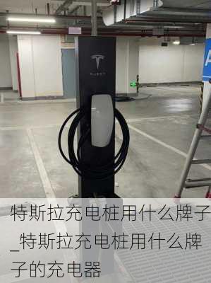 特斯拉充電樁用什么牌子_特斯拉充電樁用什么牌子的充電器