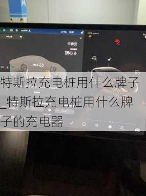 特斯拉充電樁用什么牌子_特斯拉充電樁用什么牌子的充電器