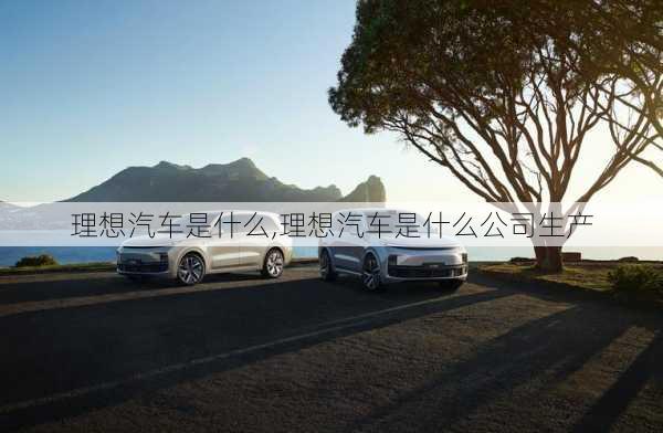 理想汽車是什么,理想汽車是什么公司生產(chǎn)