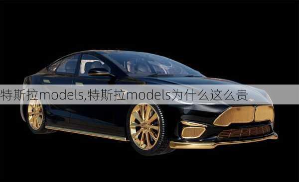 特斯拉models,特斯拉models為什么這么貴