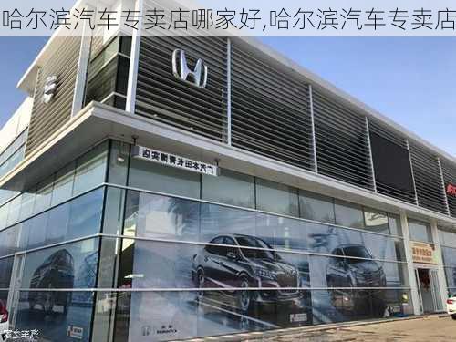 哈爾濱汽車專賣店哪家好,哈爾濱汽車專賣店