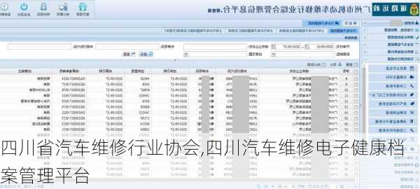 四川省汽車(chē)維修行業(yè)協(xié)會(huì),四川汽車(chē)維修電子健康檔案管理平臺(tái)