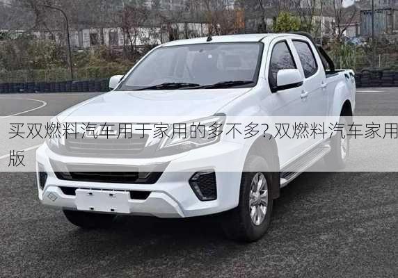 買雙燃料汽車用于家用的多不多?,雙燃料汽車家用版