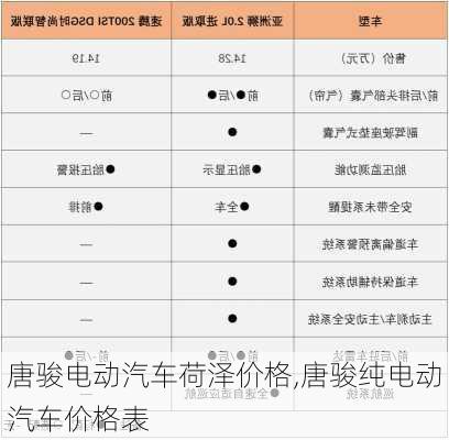 唐駿電動(dòng)汽車荷澤價(jià)格,唐駿純電動(dòng)汽車價(jià)格表