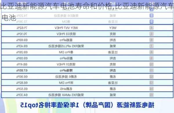 比亞迪新能源汽車電池壽命和價(jià)格,比亞迪新能源汽車 電池