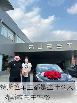 特斯拉車主都是些什么人_特斯拉車主性格