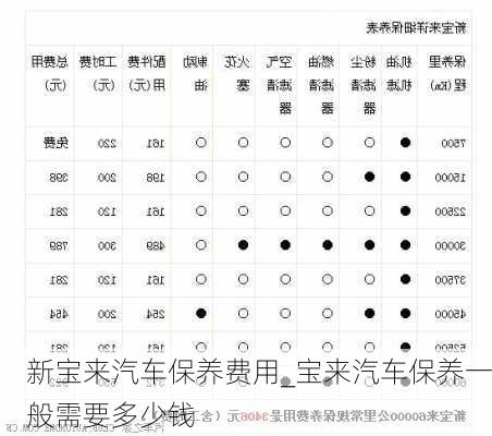 新寶來(lái)汽車保養(yǎng)費(fèi)用_寶來(lái)汽車保養(yǎng)一般需要多少錢(qián)