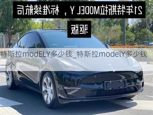 特斯拉modELY多少錢_特斯拉modelY多少錢一個