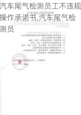 汽車(chē)尾氣檢測(cè)員工不違規(guī)操作承諾書(shū),汽車(chē)尾氣檢測(cè)員