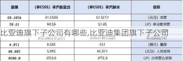 比亞迪旗下子公司有哪些,比亞迪集團(tuán)旗下子公司