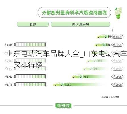 山東電動(dòng)汽車(chē)品牌大全_山東電動(dòng)汽車(chē)廠家排行榜