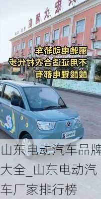 山東電動(dòng)汽車(chē)品牌大全_山東電動(dòng)汽車(chē)廠家排行榜