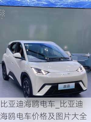 比亞迪海鷗電車_比亞迪海鷗電車價(jià)格及圖片大全