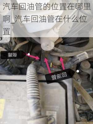 汽車回油管的位置在哪里啊_汽車回油管在什么位置