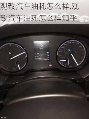 觀致汽車油耗怎么樣,觀致汽車油耗怎么樣知乎