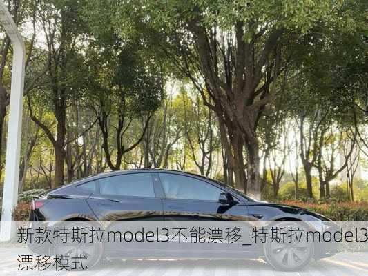 新款特斯拉model3不能漂移_特斯拉model3漂移模式