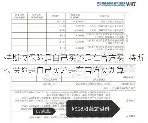 特斯拉保險是自己買還是在官方買_特斯拉保險是自己買還是在官方買劃算