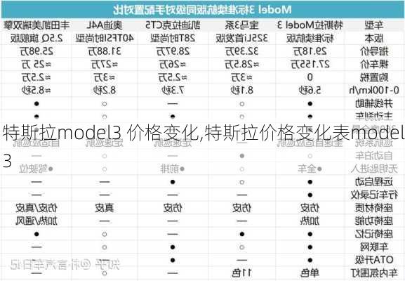 特斯拉model3 價(jià)格變化,特斯拉價(jià)格變化表model3