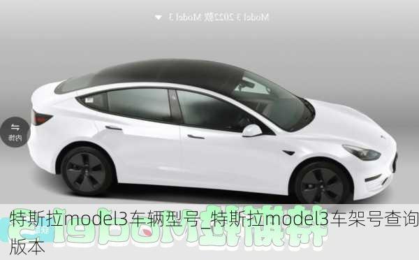 特斯拉model3車輛型號_特斯拉model3車架號查詢版本