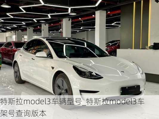 特斯拉model3車輛型號_特斯拉model3車架號查詢版本