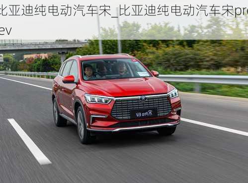 比亞迪純電動(dòng)汽車(chē)宋_比亞迪純電動(dòng)汽車(chē)宋pro ev