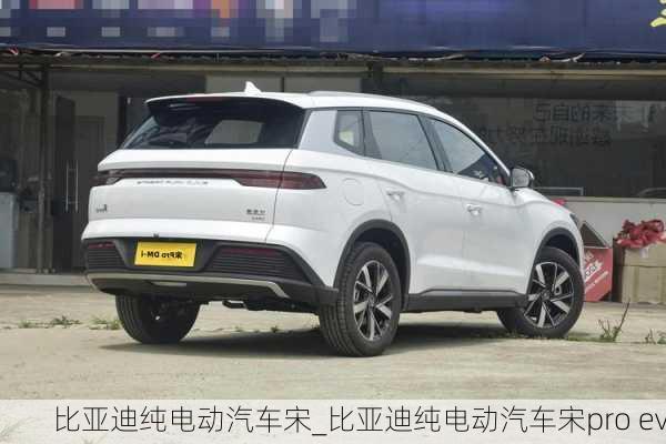 比亞迪純電動(dòng)汽車(chē)宋_比亞迪純電動(dòng)汽車(chē)宋pro ev