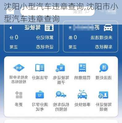 沈陽小型汽車違章查詢,沈陽市小型汽車違章查詢