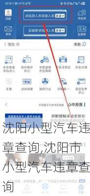 沈陽小型汽車違章查詢,沈陽市小型汽車違章查詢
