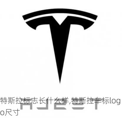 特斯拉標志長什么樣,特斯拉車標logo尺寸