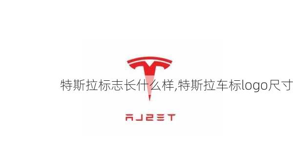 特斯拉標志長什么樣,特斯拉車標logo尺寸