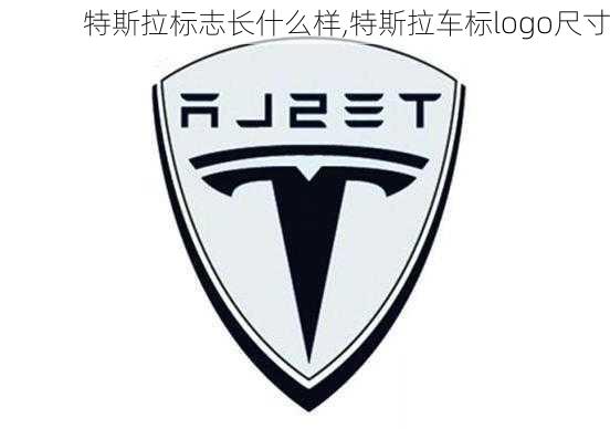 特斯拉標志長什么樣,特斯拉車標logo尺寸