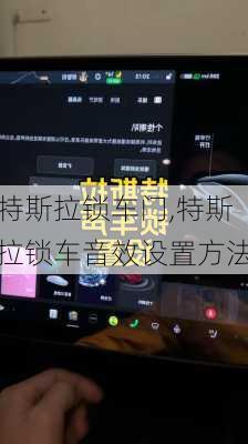 特斯拉鎖車門,特斯拉鎖車音效設置方法