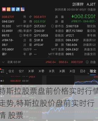 特斯拉股票盤前價格實時行情走勢,特斯拉股價盤前實時行情 股票