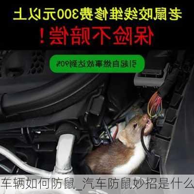 車輛如何防鼠_汽車防鼠妙招是什么