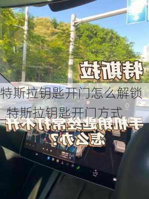 特斯拉鑰匙開門怎么解鎖_特斯拉鑰匙開門方式