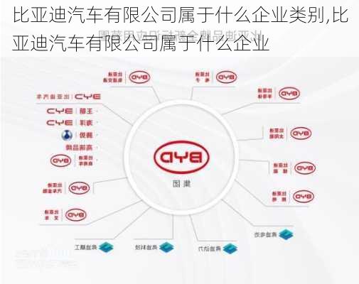 比亞迪汽車有限公司屬于什么企業(yè)類別,比亞迪汽車有限公司屬于什么企業(yè)