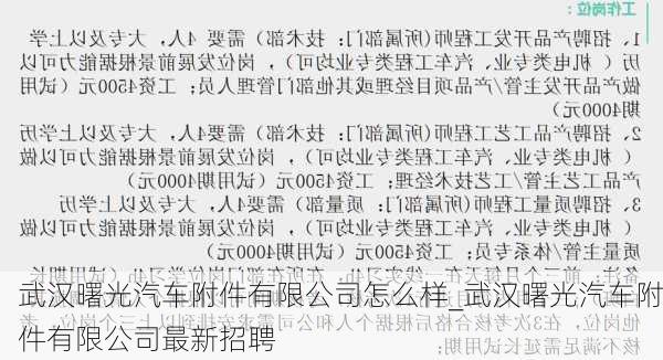 武漢曙光汽車附件有限公司怎么樣_武漢曙光汽車附件有限公司最新招聘