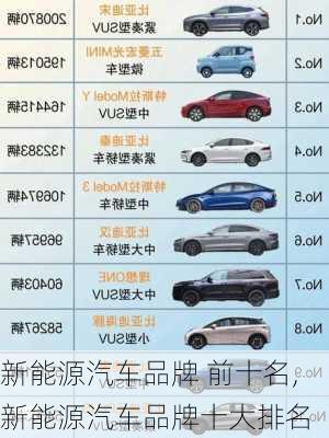 新能源汽車品牌 前十名,新能源汽車品牌十大排名