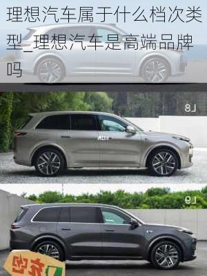 理想汽車屬于什么檔次類型_理想汽車是高端品牌嗎