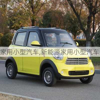 家用小型汽車,新能源家用小型汽車