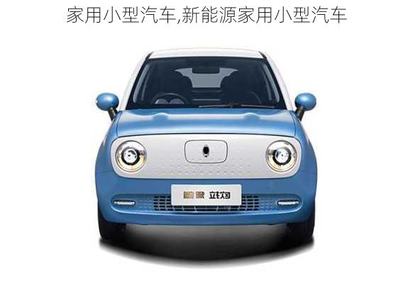 家用小型汽車,新能源家用小型汽車