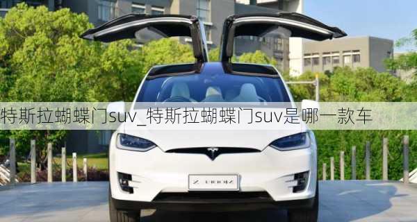 特斯拉蝴蝶門suv_特斯拉蝴蝶門suv是哪一款車