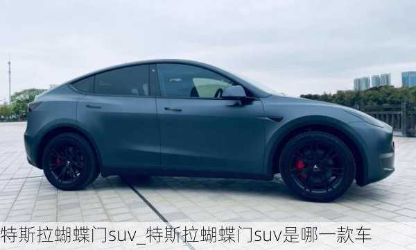 特斯拉蝴蝶門suv_特斯拉蝴蝶門suv是哪一款車