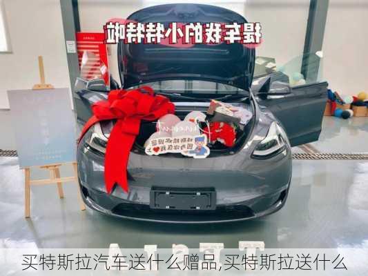 買特斯拉汽車送什么贈(zèng)品,買特斯拉送什么