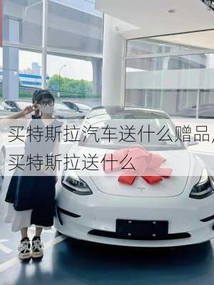 買特斯拉汽車送什么贈(zèng)品,買特斯拉送什么